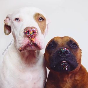 Meet your Posher, Marvin